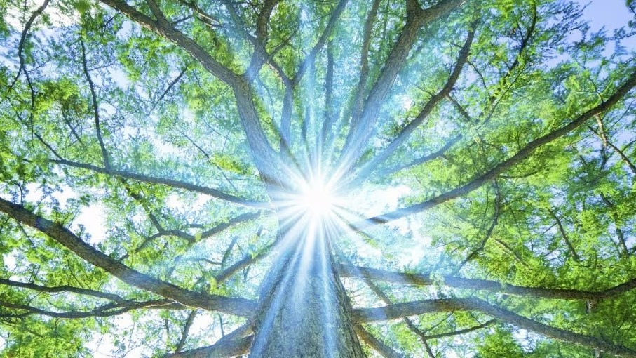 E vivere una vita luminosa e appagante - Immagine 3